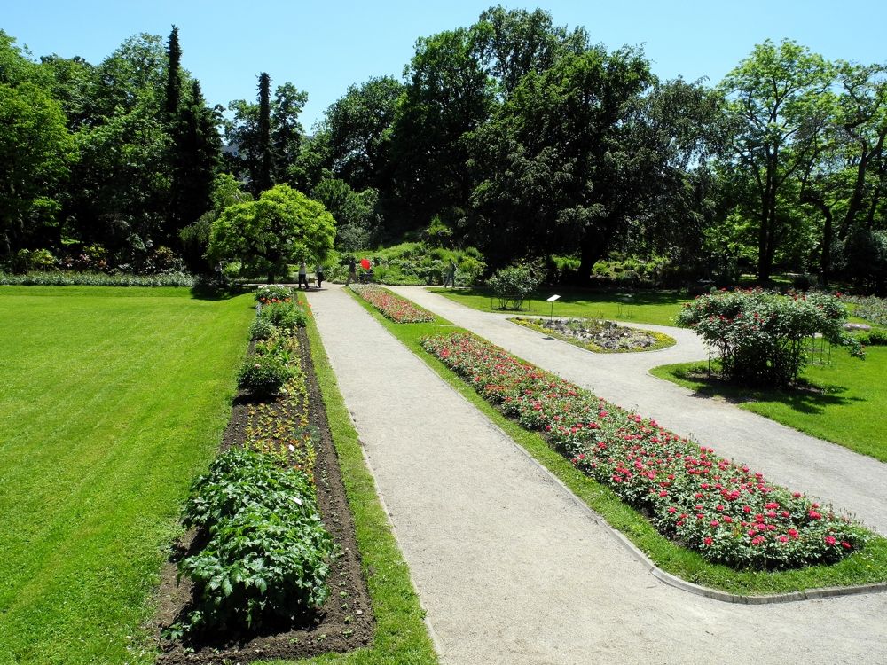 Pogled na grad Zagreb 4