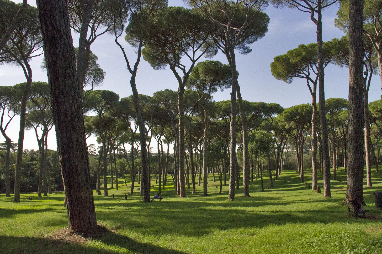 Rome city view 4
